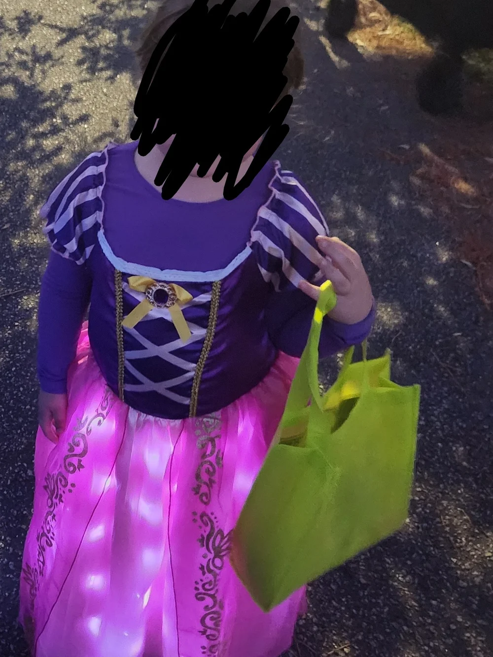 Purple and Pink Princess Light-Up Costume 10/12